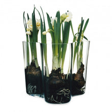 Load image into Gallery viewer, Alvar Aalto vase 160 mm clear