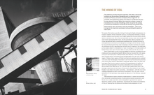 Load image into Gallery viewer, PREORDER | Design, displacement &amp; donkeys: the fractured life of Egon Riss

