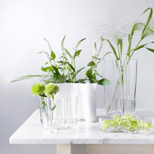 Load image into Gallery viewer, Alvar Aalto vase 120 mm clear
